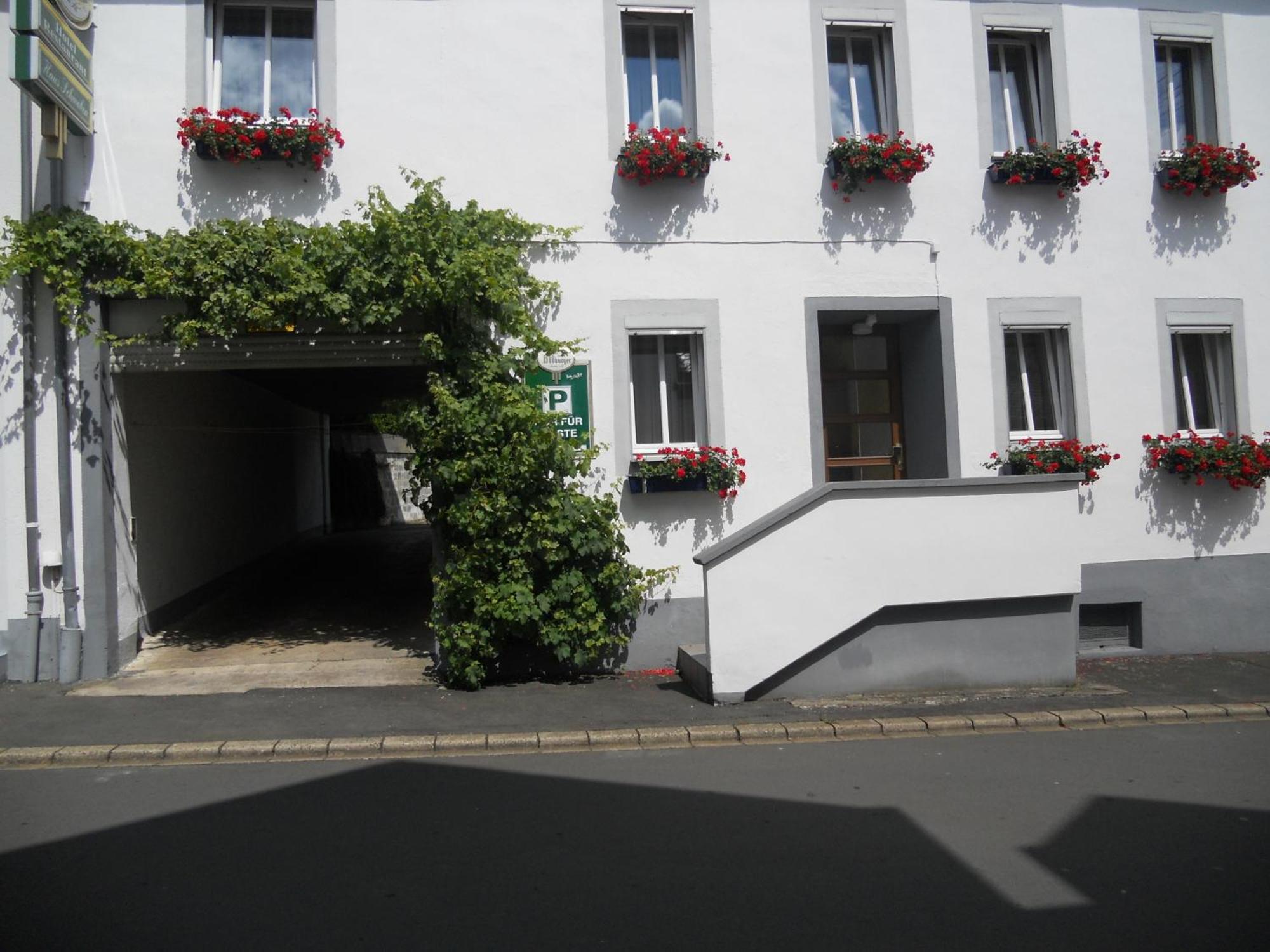 Pension am Lieserpfad Manderscheid Exterior foto